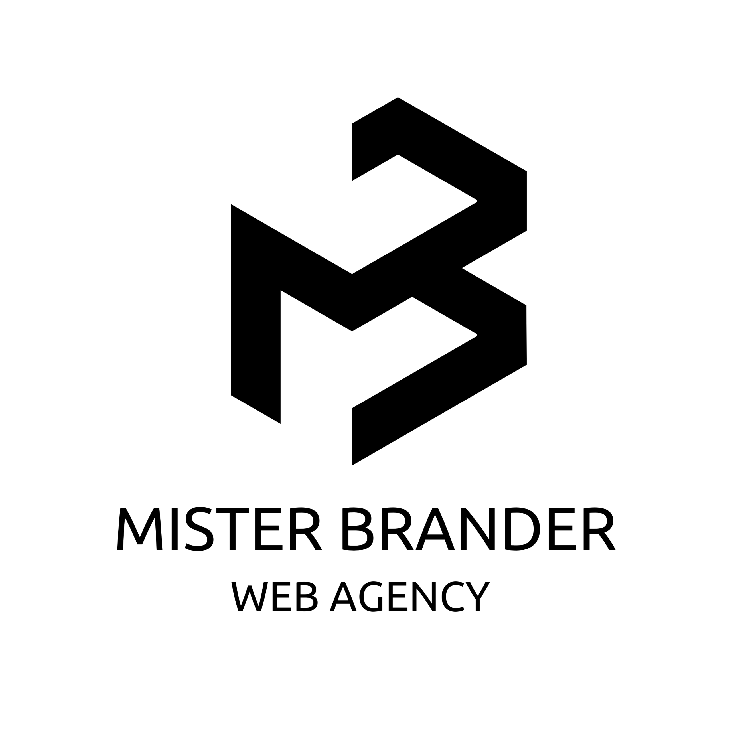 MISTER-BRANDER-Post-Instagram-1